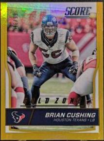 Brian Cushing