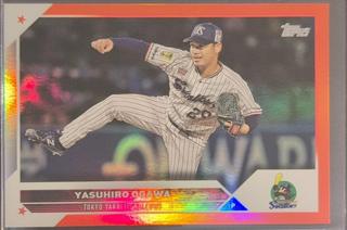 Yasuhiro Ogawa