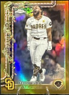 Fernando Tatis Jr.