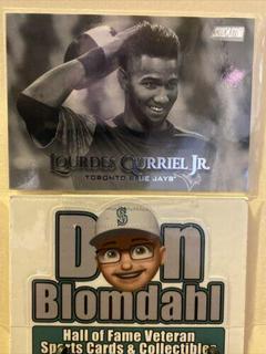 Lourdes Gurriel Jr.