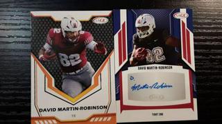 David Martin-Robinson