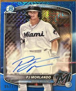 PJ Morlando