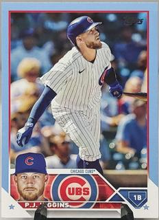 P. J. Higgins