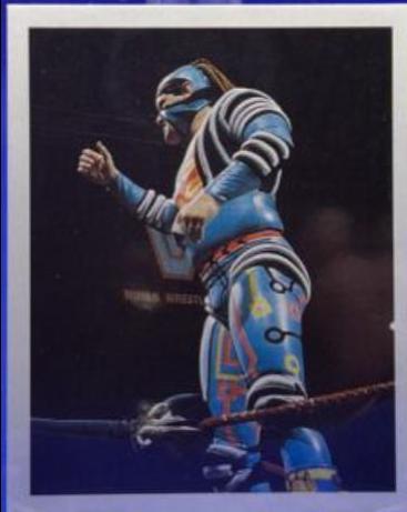 Max Moon #24 Wrestling Cards 1992 Merlin WWF Stickers