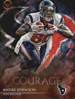 Andre Johnson