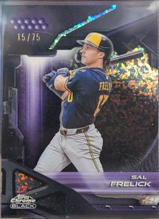 Sal Frelick