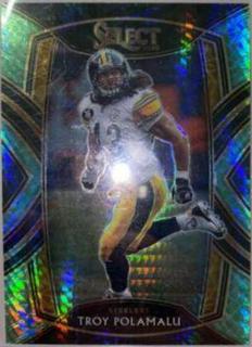 Troy Polamalu