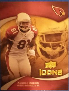 Anquan Boldin