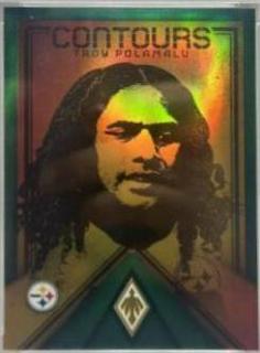 Troy Polamalu