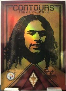 Troy Polamalu