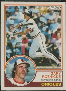 Gary Roenicke