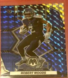 Robert Woods