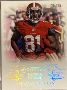 Anquan Boldin