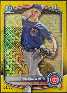 Dominick Reid