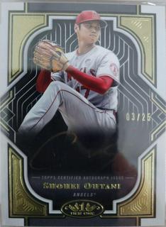 Shohei Ohtani