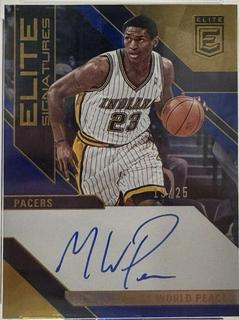 Metta World Peace