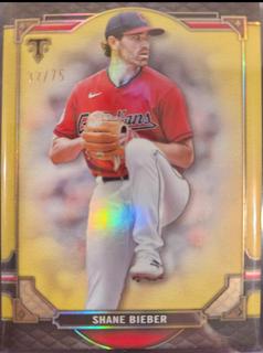 Shane Bieber