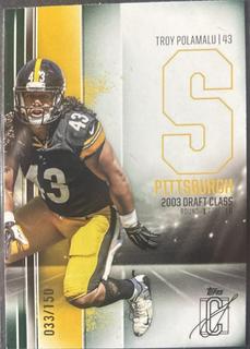 Troy Polamalu