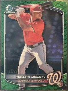 Yohandy Morales