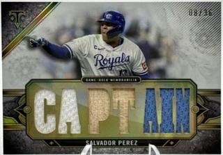 Salvador Perez