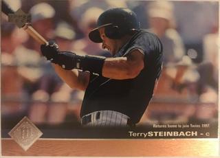 Terry Steinbach