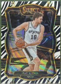 Pau Gasol