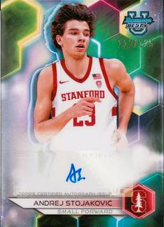 Andrej Stojakovic