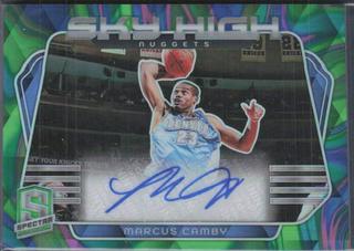 Marcus Camby