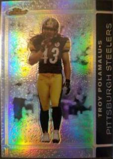 Troy Polamalu
