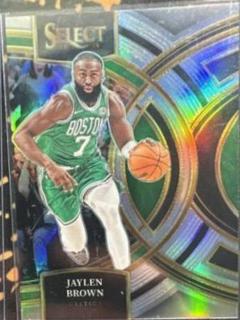 Jaylen Brown