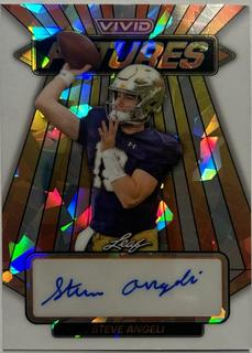 Steve Angeli