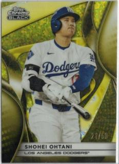 Shohei Ohtani