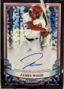 James Wood