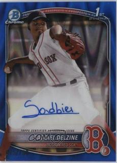 Sadbiel Delzine