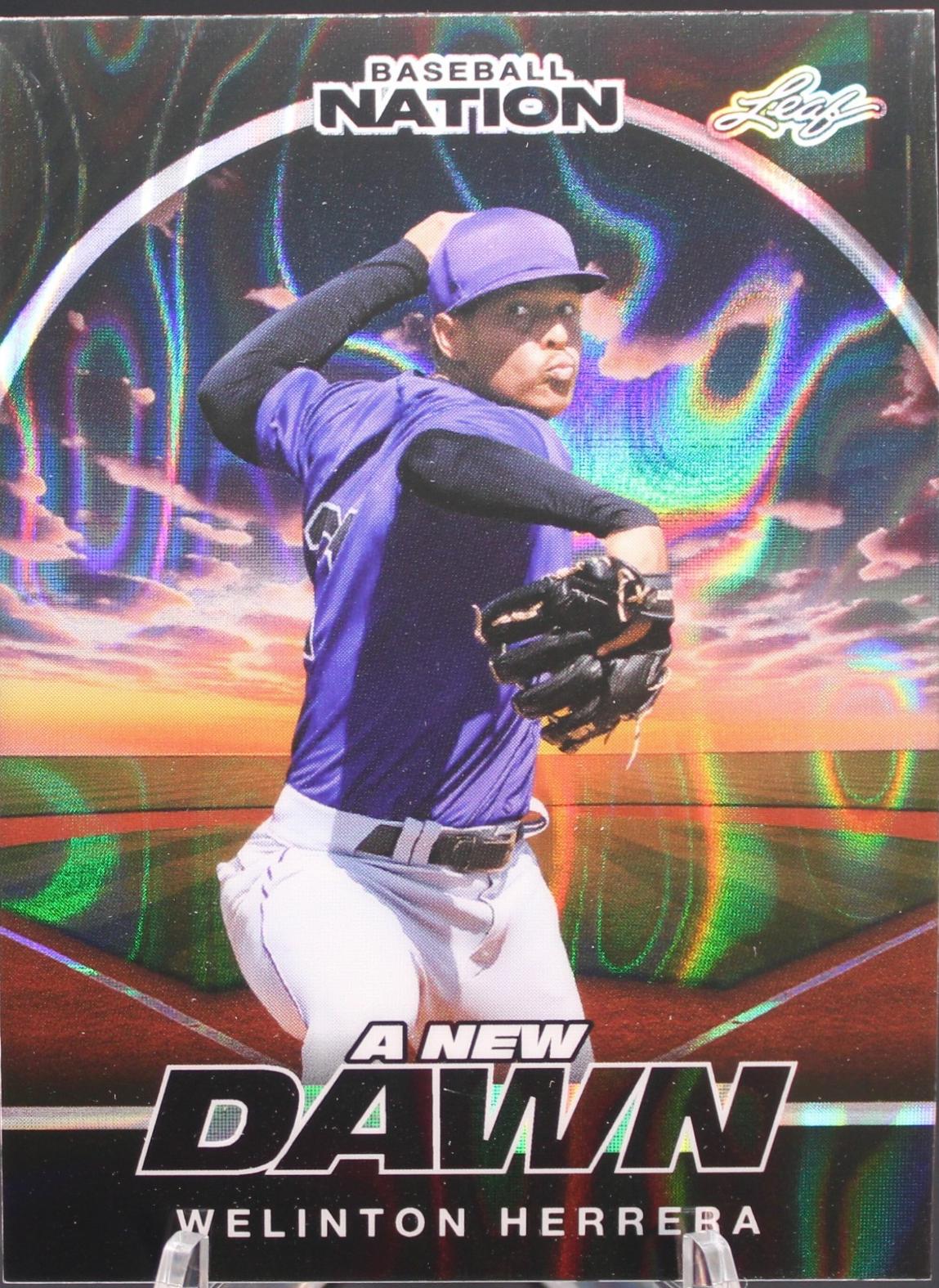 Welinton Herrera #NB-104 2025 Leaf Baseball Nation New Dawn