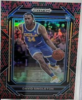 David Singleton