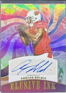 Anquan Boldin
