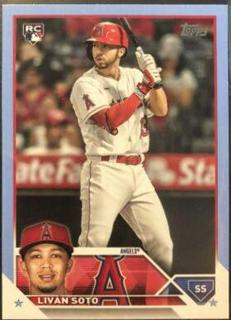 Livan Soto