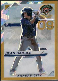 Sean Gamble