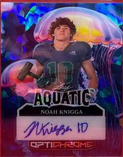 Noah Knigga