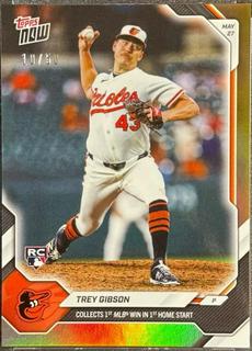 Trey Gibson