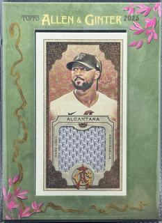 Sandy Alcantara