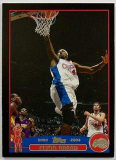 Elton Brand