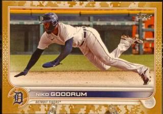 Niko Goodrum