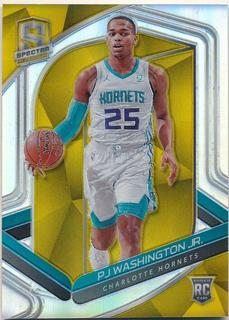PJ Washington Jr.