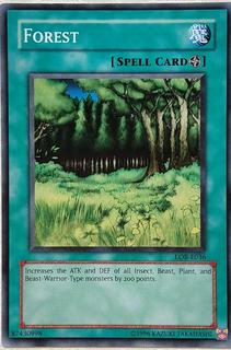 Forest LOB-E036