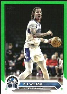 D.J. Wilson