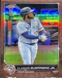 Vladimir Guerrero Jr.