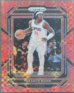 Terance Mann