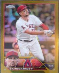 Brandon Drury